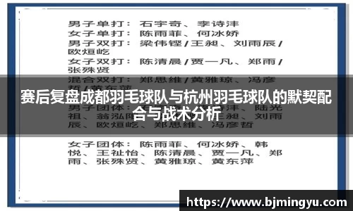 赛后复盘成都羽毛球队与杭州羽毛球队的默契配合与战术分析