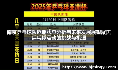 南京乒乓球队近期状态分析与未来发展展望聚焦乒乓球运动的挑战与机遇