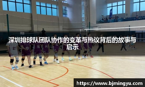 深圳排球队团队协作的变革与热议背后的故事与启示