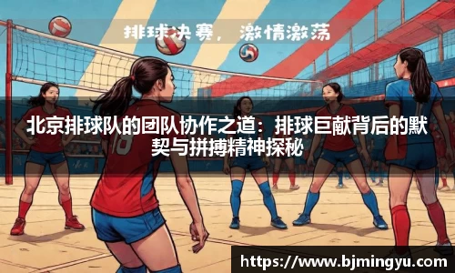 365WM完美体育官网