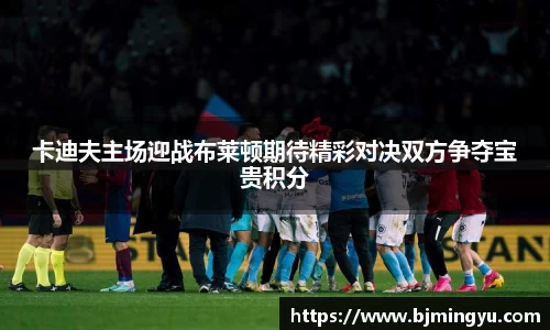 卡迪夫主场迎战布莱顿期待精彩对决双方争夺宝贵积分